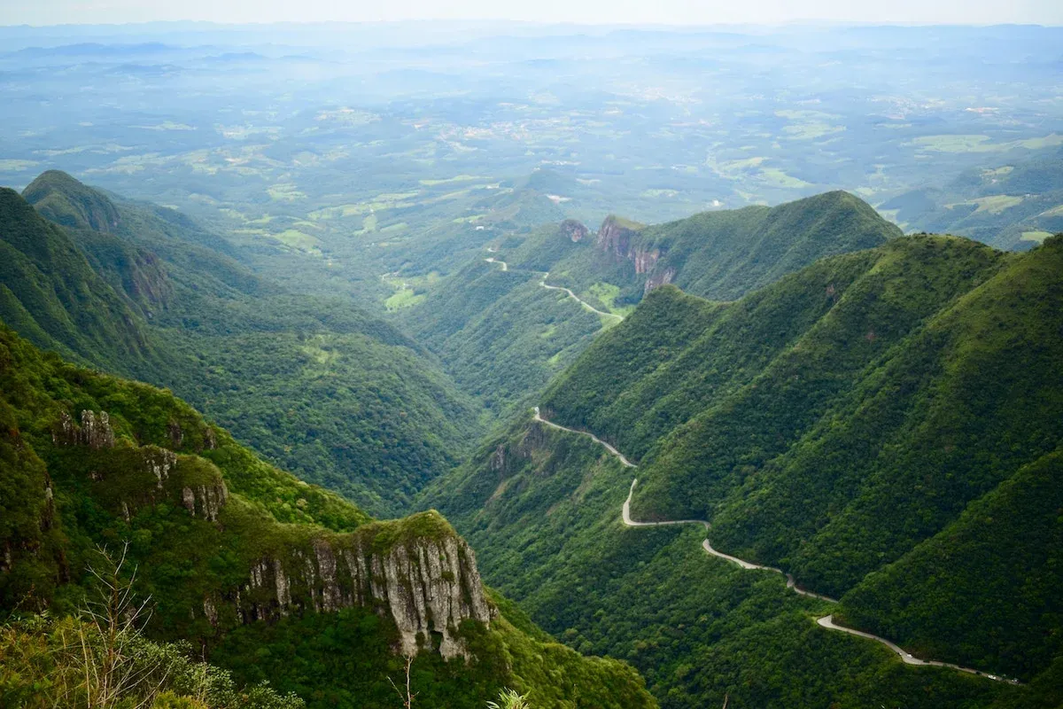 A view of the Amazon rain forest